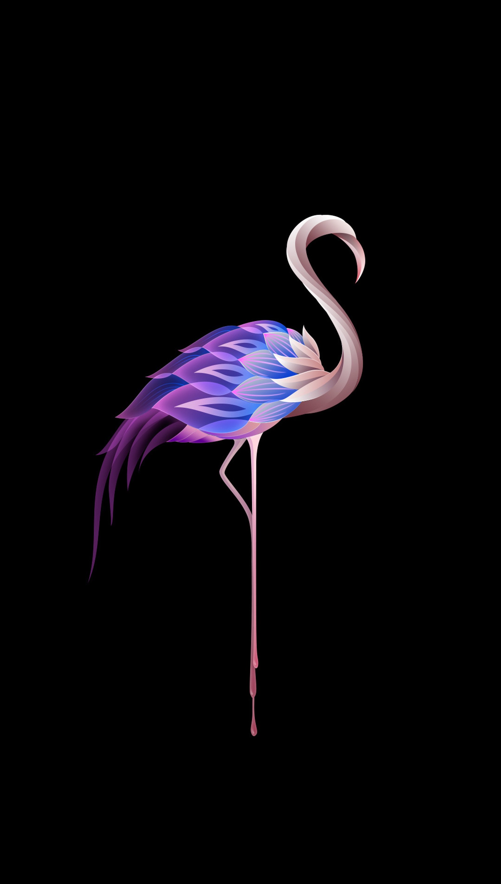 A close up of a flamingo standing on a black background (abstract, art, beauty, colorful)