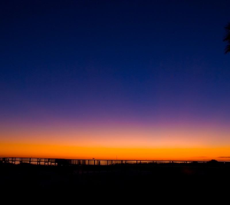 Vue d'un coucher de soleil avec un palmier et un quai (bleu, coloré, nature, orange, ciel)