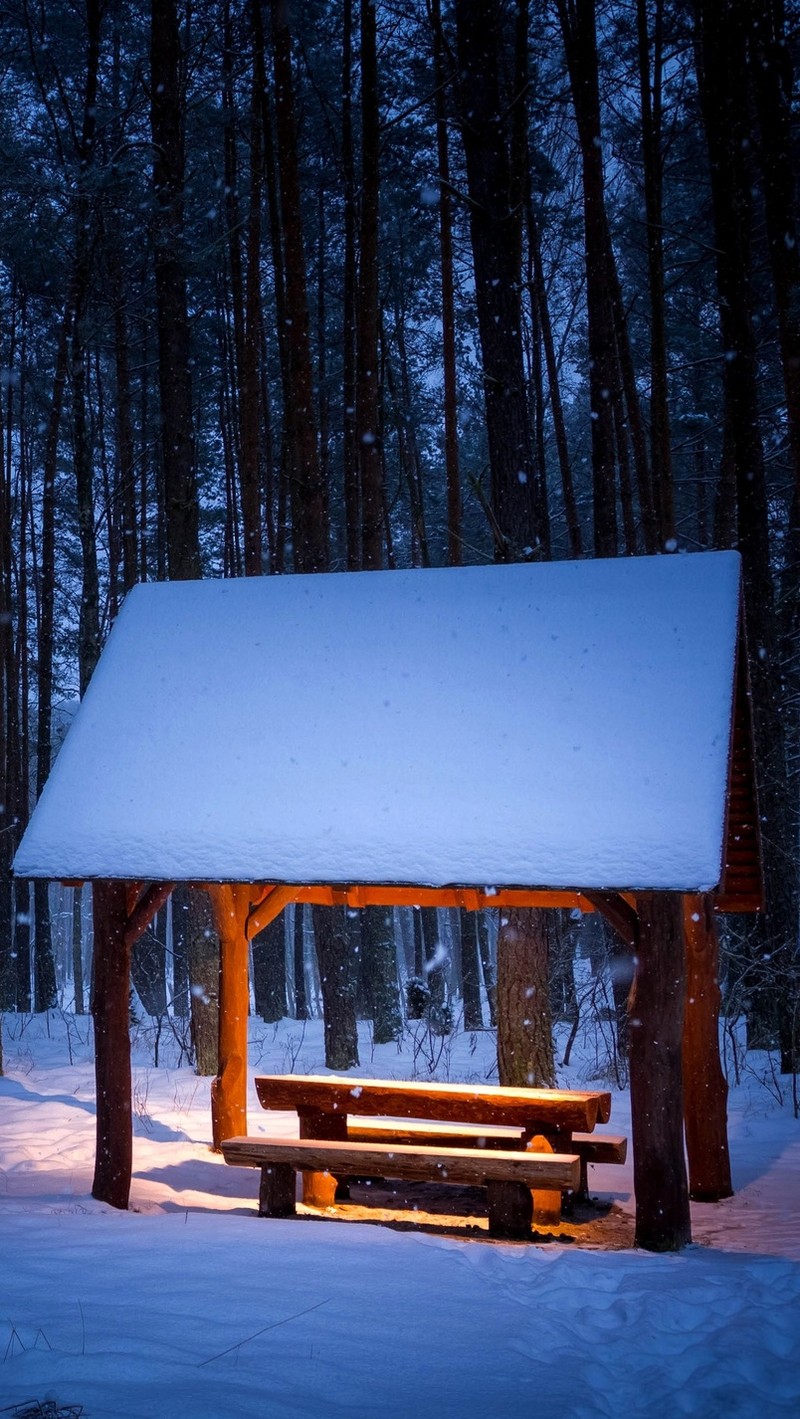 Verschneites schutzhaus im wald mit einer bank und einem feuer (bank, licht, nacht, schnee, weiß)