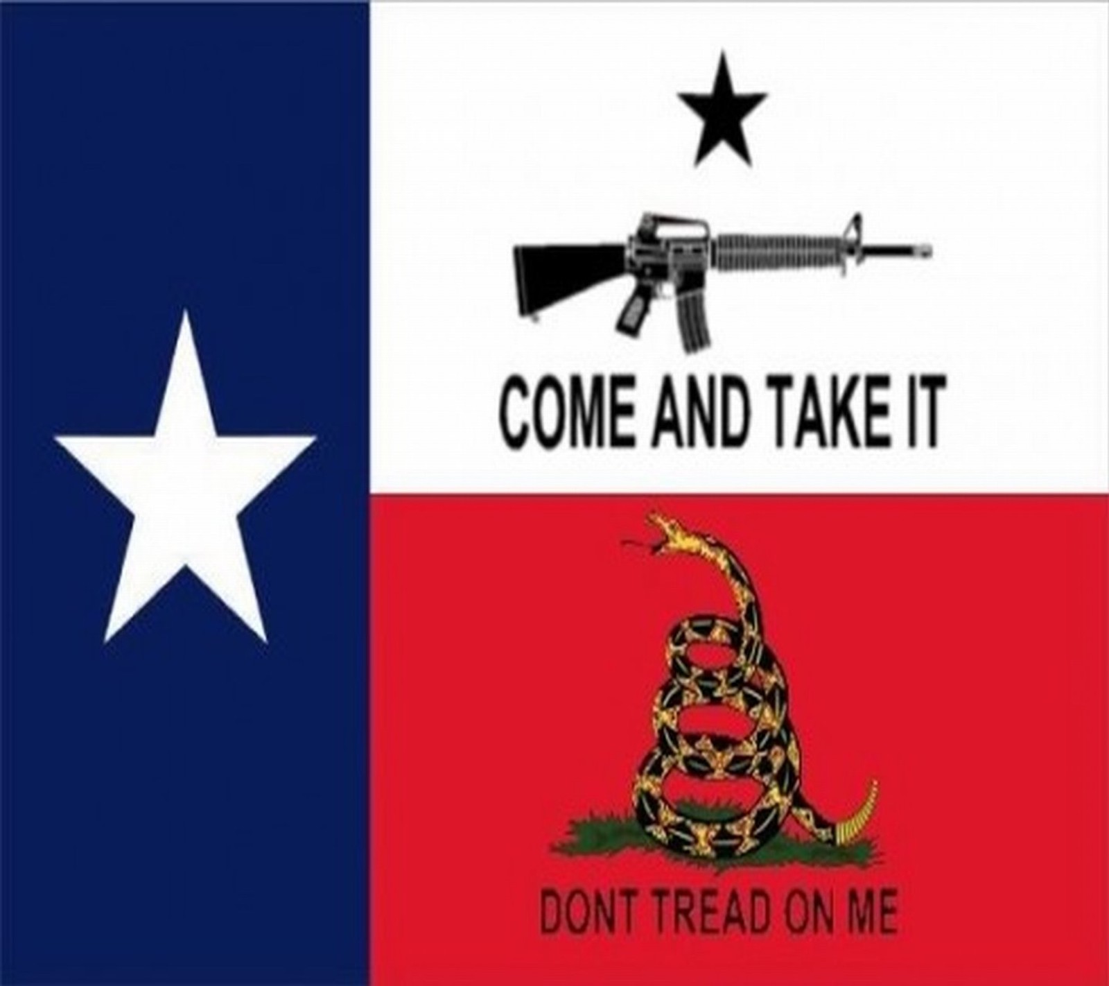 Uma bandeira com uma arma e uma estrela nela (venha e pegue, texas)