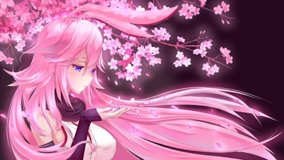 Yae Sakura: Un momento sereno bajo los cerezos en Honkai Impact 3rd