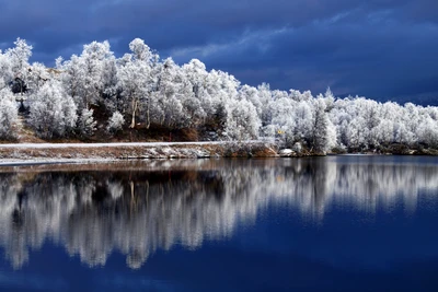 природа, отражение, зима, вода, иней