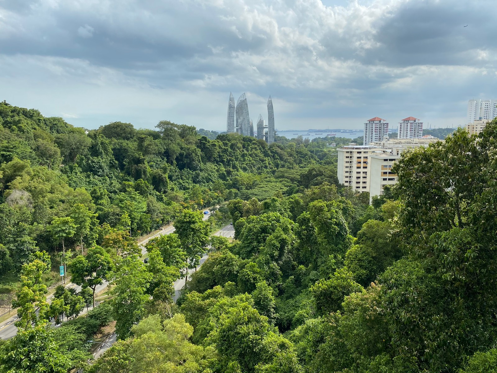 Árboles y arbustos en un parque con una ciudad de fondo (vegetación, naturaleza, nube, bloque de torre, bioma)