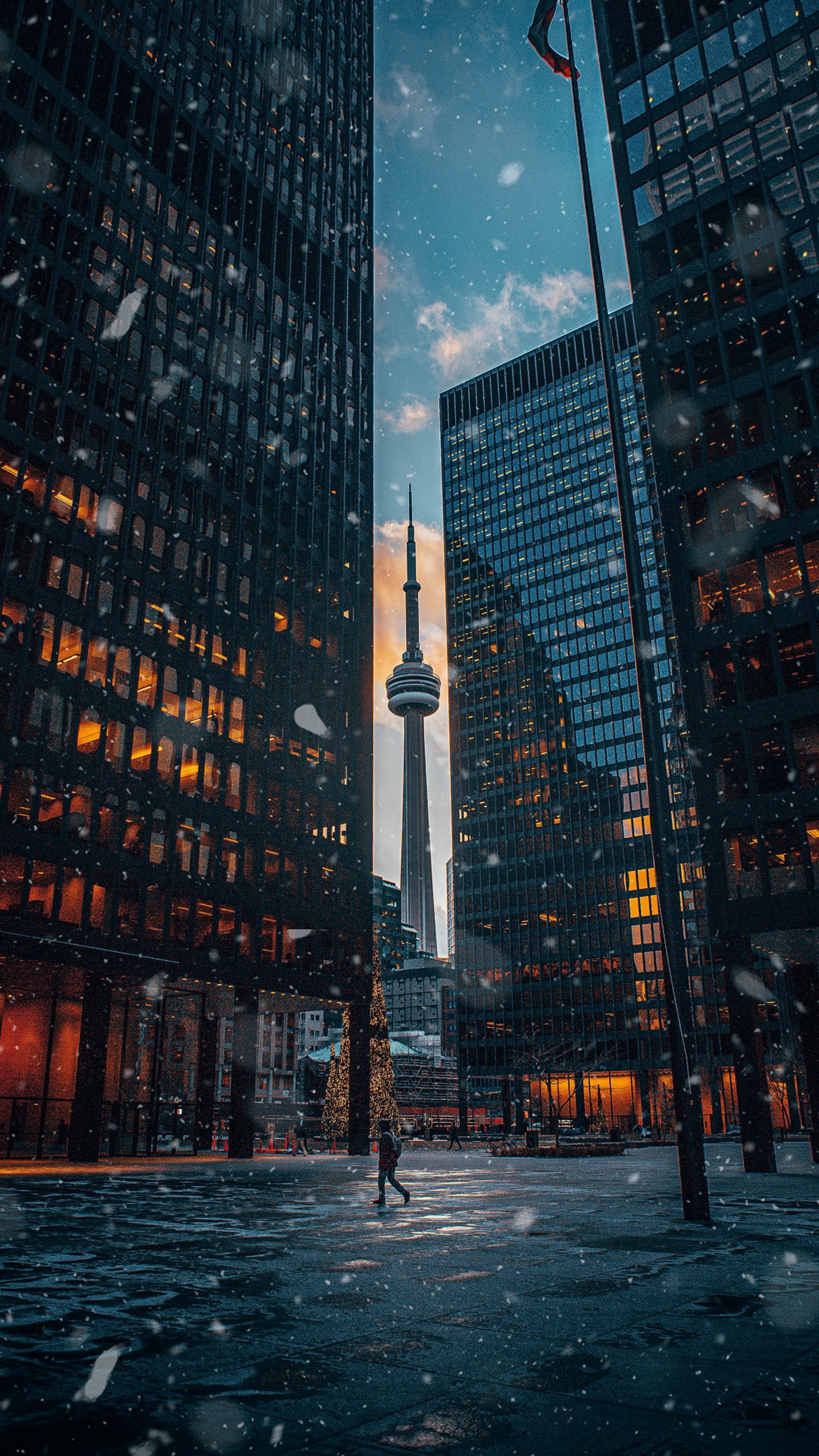 Téléchargez le fond d'écran tour cn, cn tower, tour, ville, bâtiment