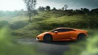 Lamborghini Huracán en una carretera escénica rodeada de exuberante vegetación.