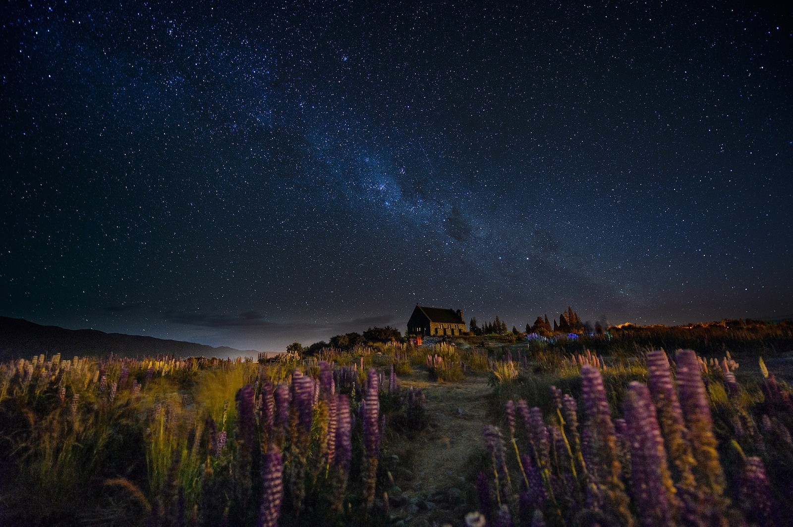 Céu noturno com estrelas e a via láctea sobre um campo de flores silvestres (noite, natureza, estrela, paisagem, atmosfera)