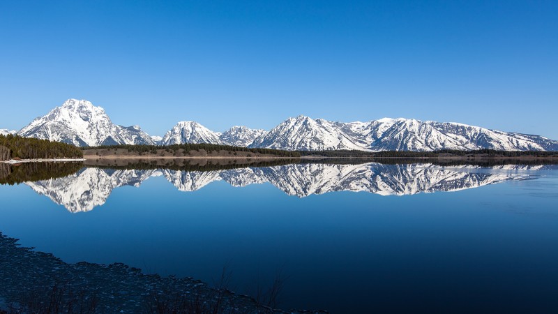 Вид на озеро с горами на заднем плане (гранд тетон, grand teton, национальный парк йеллоустоун, yellowstone national park, горный хребет)