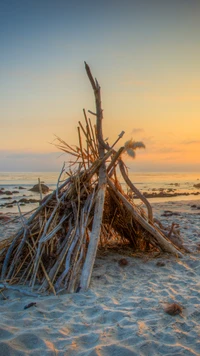 Refuge en bois flotté sur une plage paisible de Venise au coucher du soleil