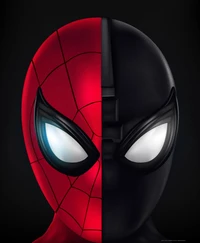 Duality of Heroes: Spider-Man and Night Monkey Artwork