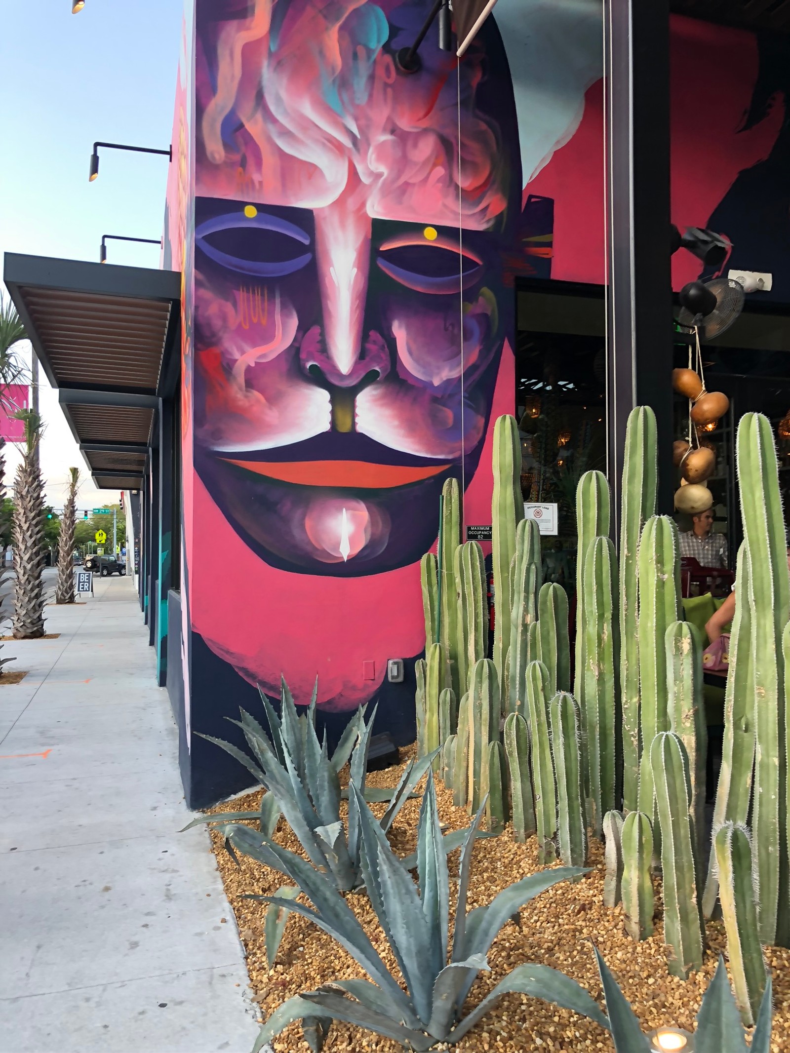 There is a colorful mural on the side of a building (miami, art, science, biology, terrestrial plant)