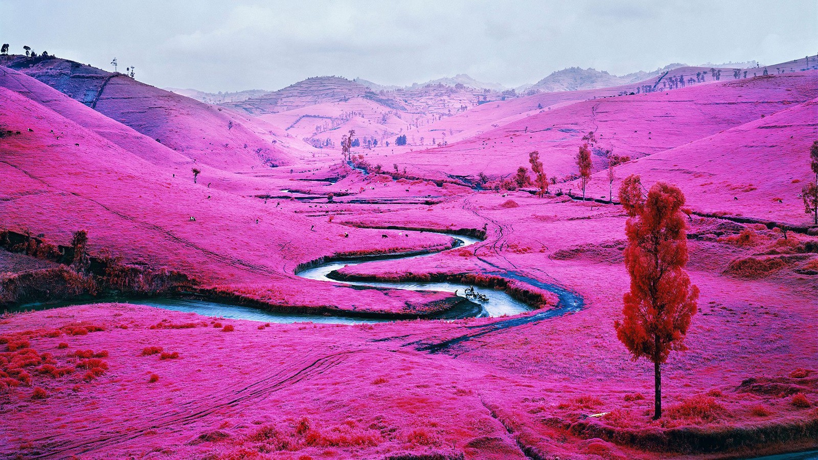 Uma imagem de um rio passando por uma paisagem rosa (natureza, cenário, paisagem)