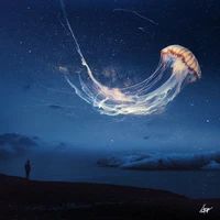 jellyfish, dream, surreal, night sky, alone wallpaper