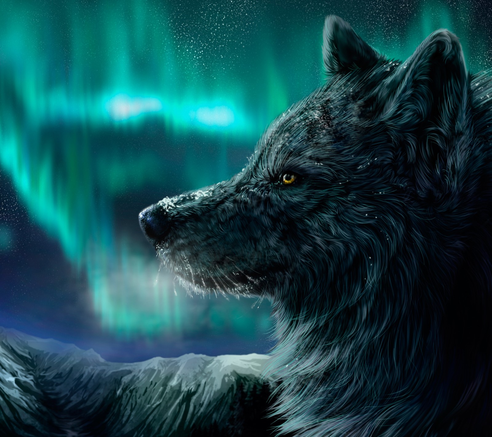 animal, aurora, northern lights, star, wolf wallpaper