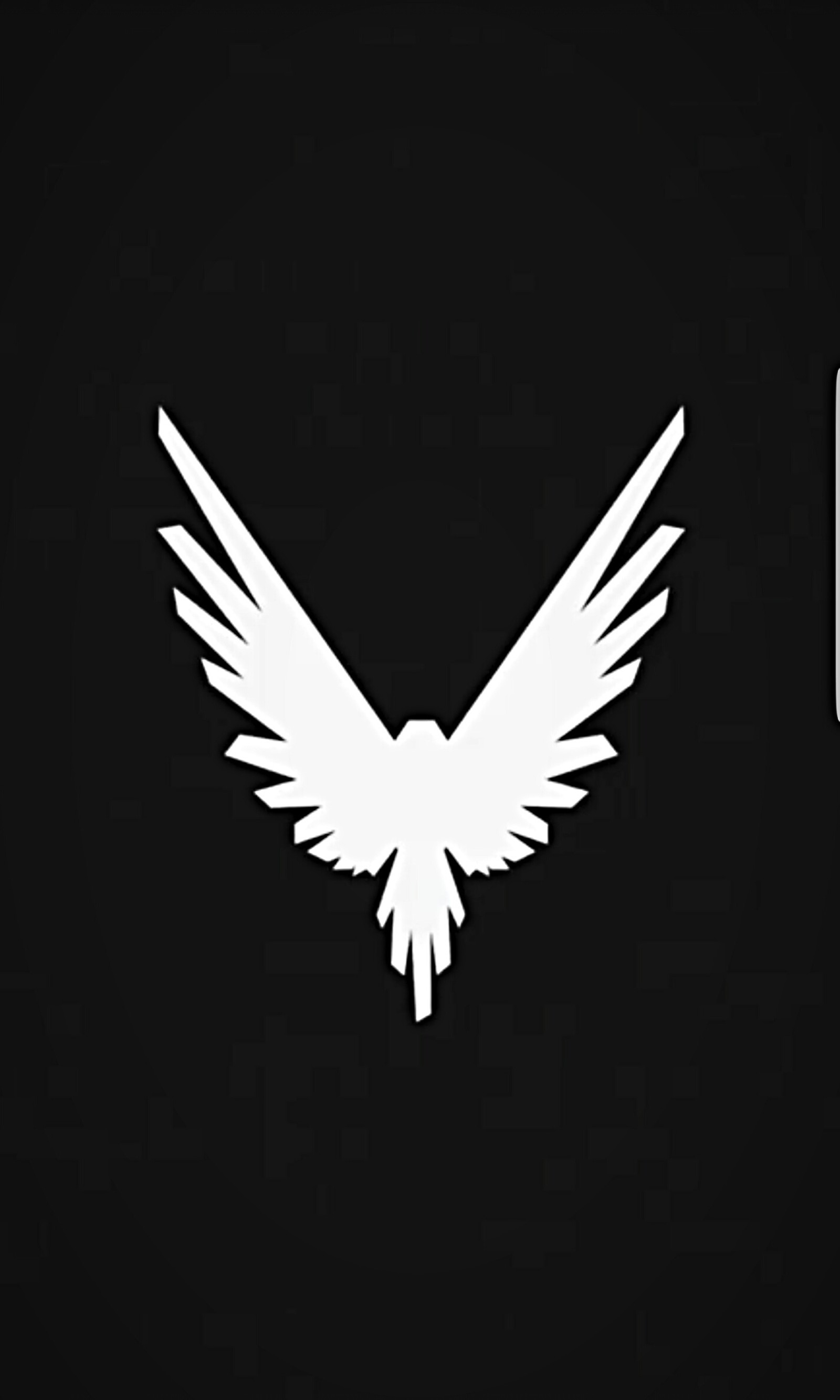 A close up of a white bird with wings on a black background (logan, loganpaul, maverick, paul)