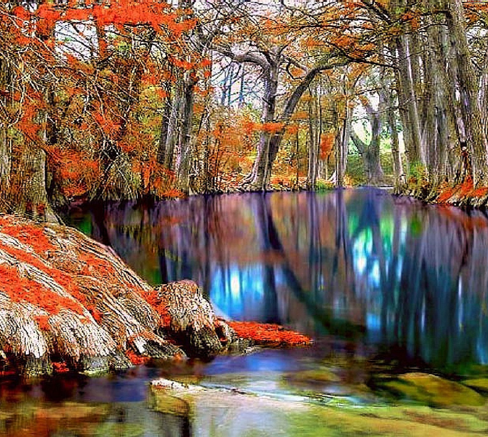 Trees are reflected in the water of a river in the fall (nature)