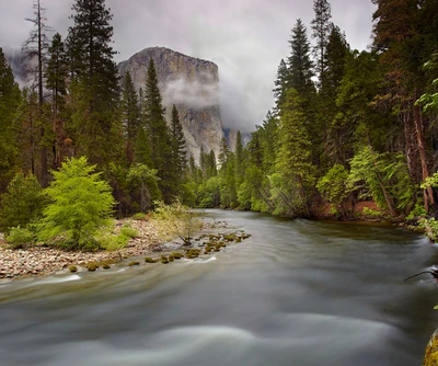 Paisaje montañoso brumoso con río y árboles frondosos