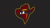 counter strike global offensive, logo, hat, cowboy hat, headgear