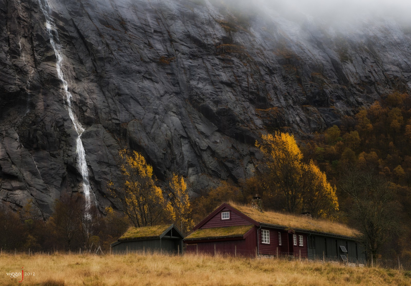 Descargar fondo de pantalla árbol, hoja, paisaje, otoño, planta leñosa