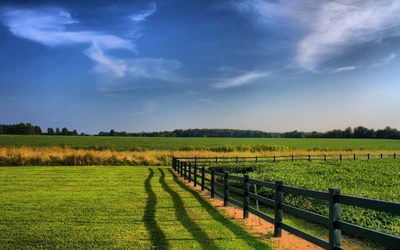 agriculture, nuage, prairie, plaine, élevage de volaille