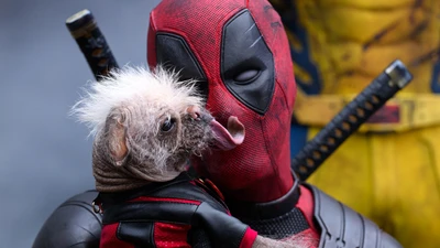 Deadpool with a Playful Pup: A Whimsical Moment from Deadpool 3