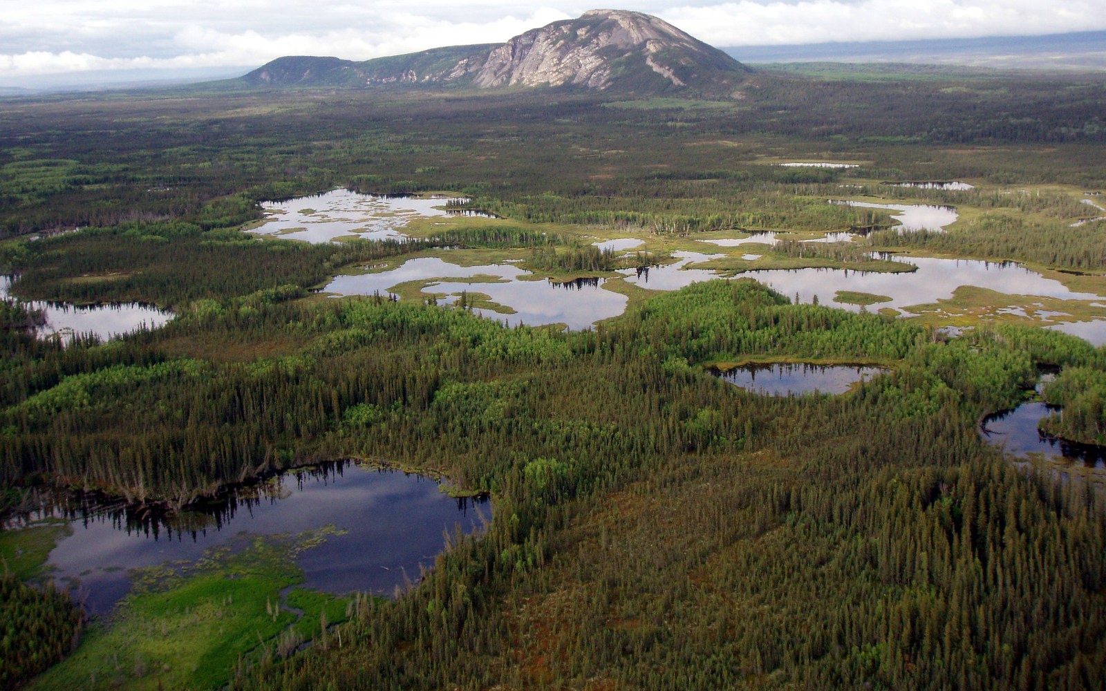 Eine aussicht auf einen berg mit einem see und einem wald (kanada, wald, taiga, see, wasserressourcen)