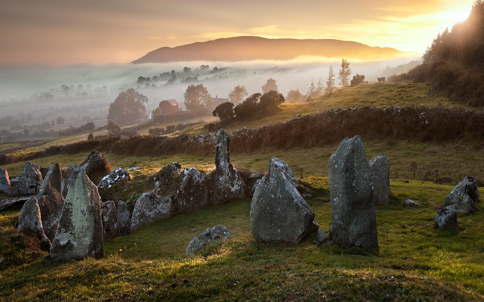 There are many large rocks in the grass near a hill (england, nature, hill, rock, morning)