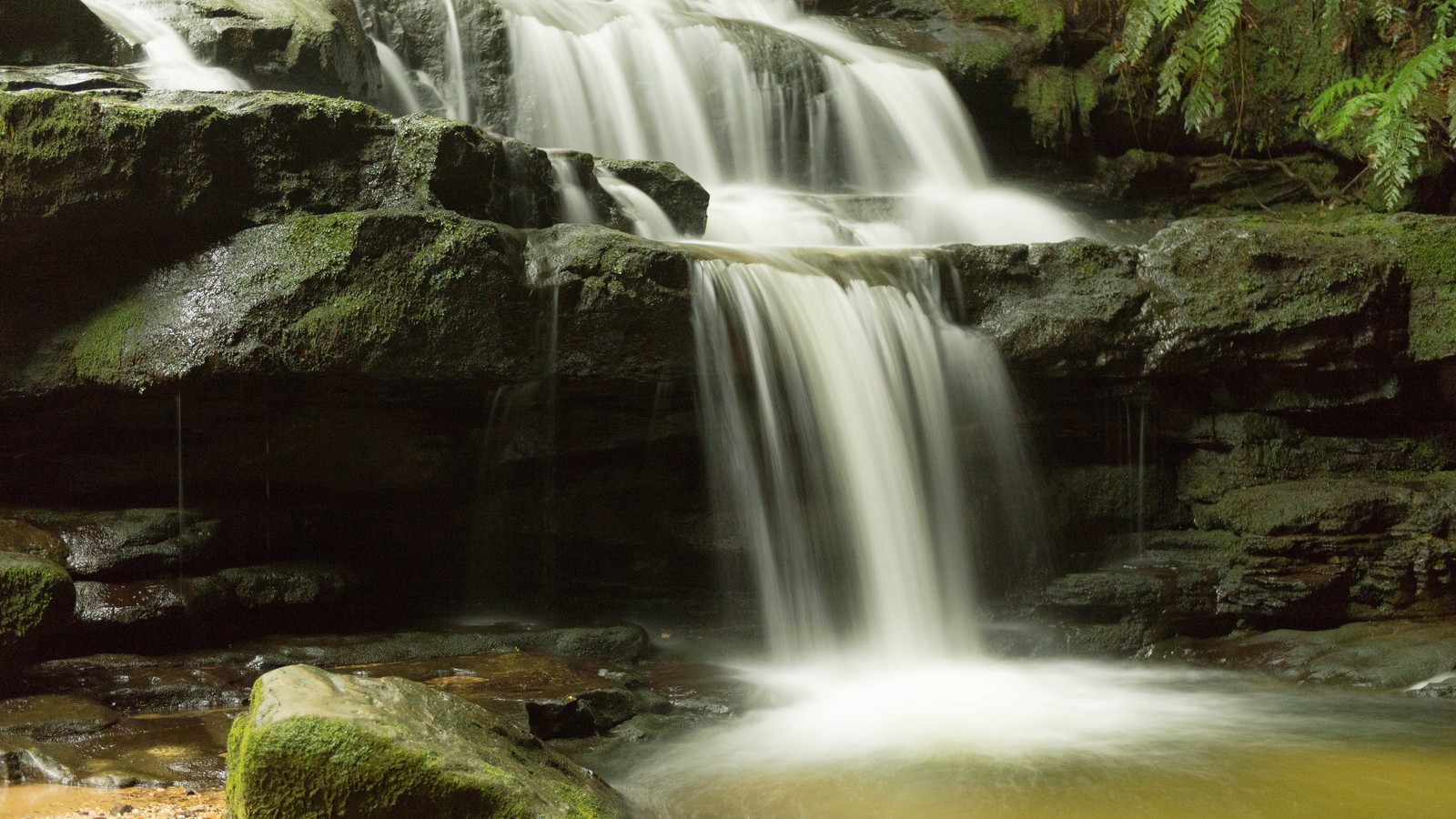 Hay una cascada que fluye sobre las rocas en el bosque (cascada, cauce, naturaleza, reserva natural, recursos hídricos)