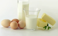 Nährende Grundlagen: Milch, Eier und Butter