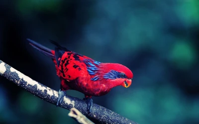 Pájaro rojo vibrante posado en una rama entre la exuberante vegetación