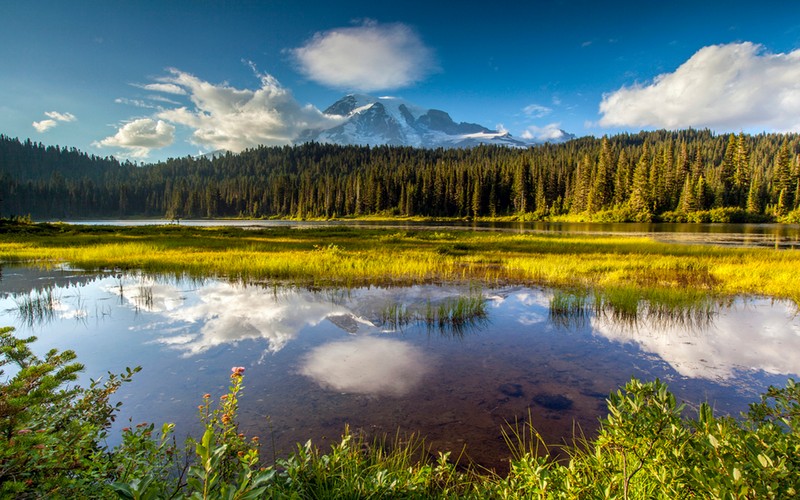 Вид на озеро с горой на заднем плане (национальный парк, гора рейнир, mount rainier, парк, отражение)