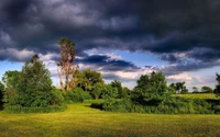 Ciel dramatique au-dessus d'une prairie luxuriante avec des arbres et de la végétation