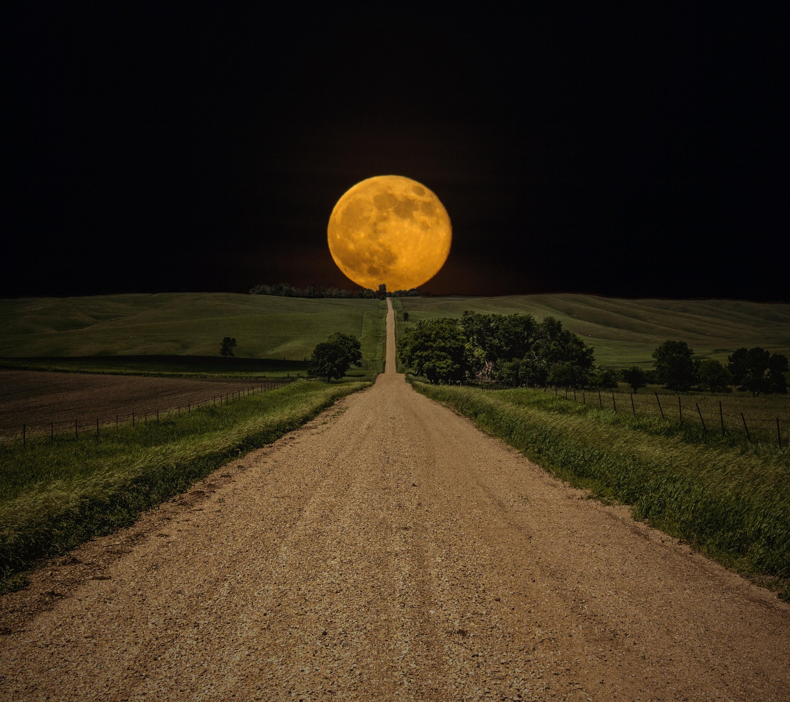 Arafed view of a dirt road with a full moon in the background (field, moon, night, path, road)