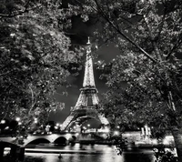 Tour Eiffel illuminée la nuit à travers des arbres encadrants en noir et blanc