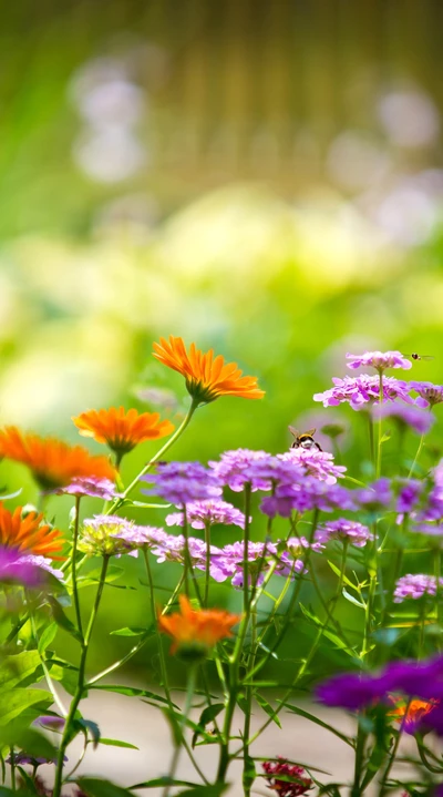 Flores silvestres vibrantes em flor com abelhas