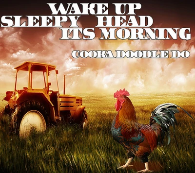 good morning, its morning, rooster, sunrise, tractor