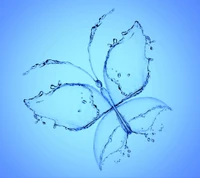 blue, butterfly, drops, splash, water