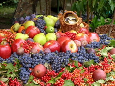 Un assortiment vibrant de pommes, poires, prunes et baies colorées exposées abondamment dans un cadre luxuriant.