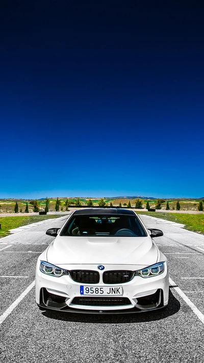 bmw, coche, coupé, f82, vista frontal