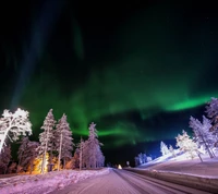 aurora borealis, night, north, path, road