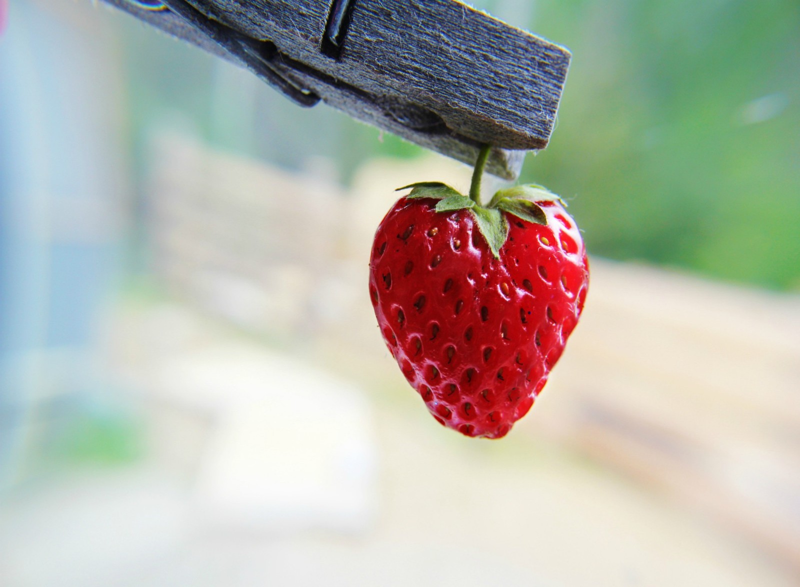 Um morango pendurado em um prendedor em um varal (fruta, garden strawberry, morango)