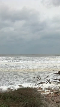 Playa tormentosa con olas y cielo nublado