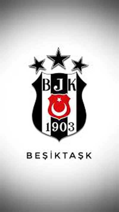 besiktas, bjk