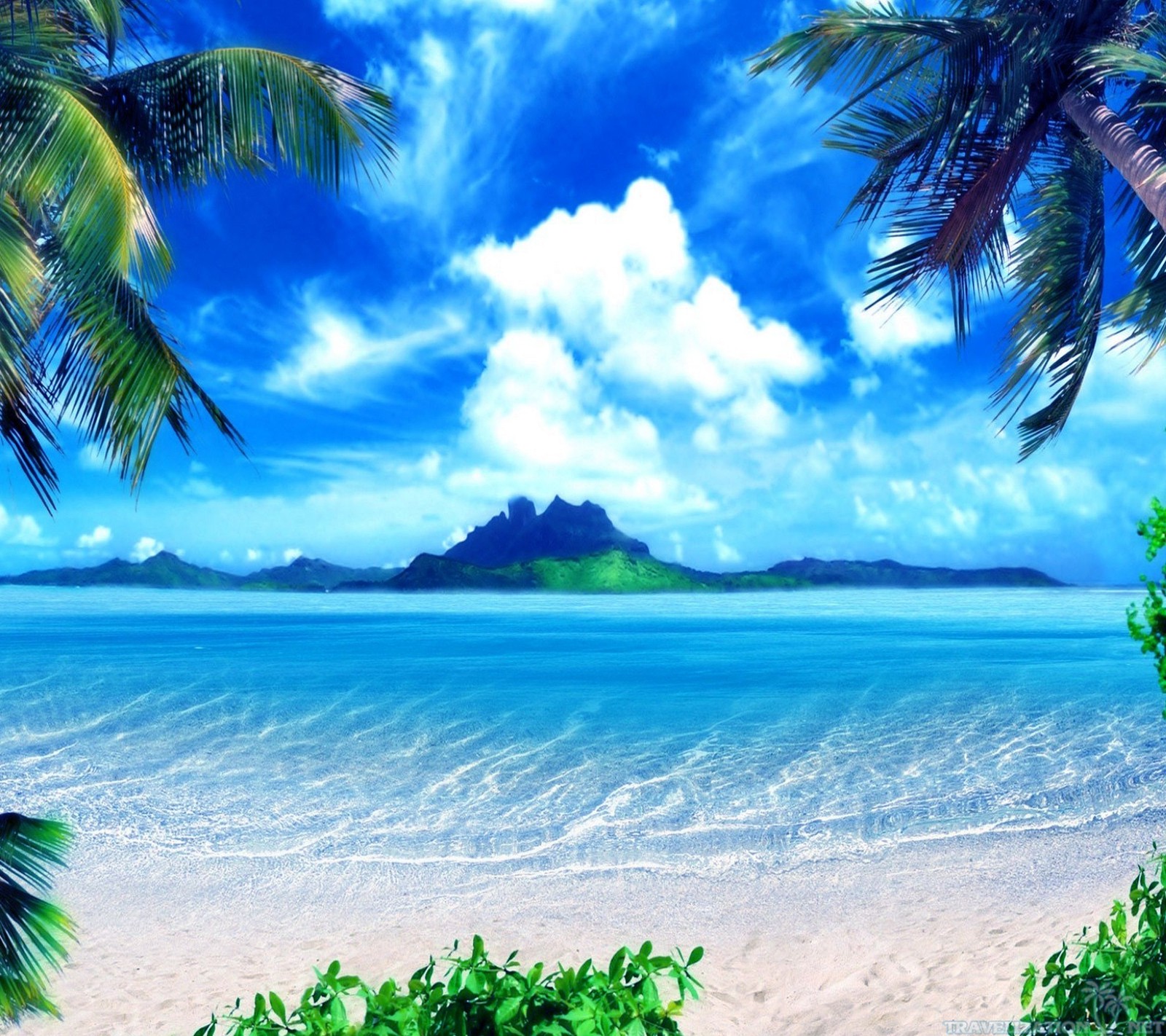 A view of a beach with palm trees and a mountain in the distance (background, beach, cool, island, nature)