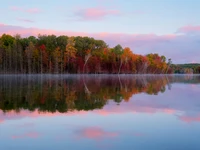 Autumn Reflections: Vibrant Trees Along a Tranquil Lake at Dawn