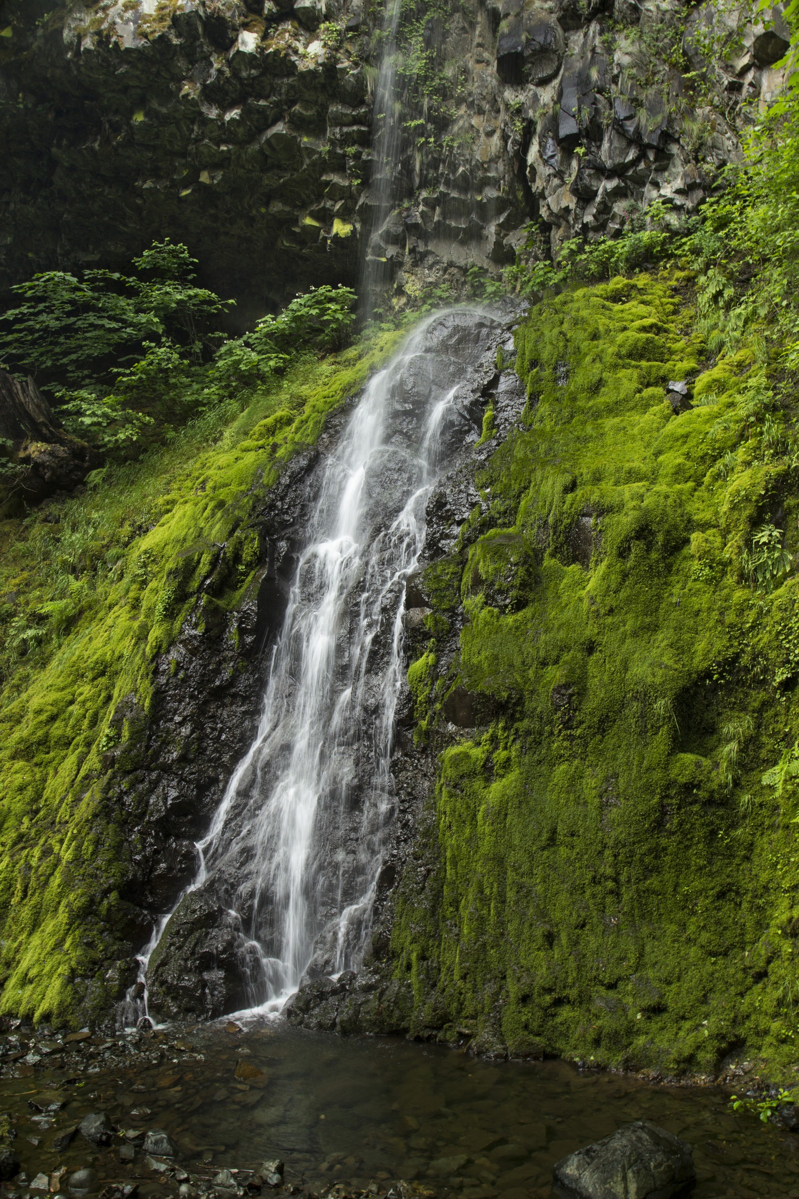 Cascada que desciende por una colina con musgo (cascada, acantilado, cuerpo de agua, recursos hídricos, paisaje natural)