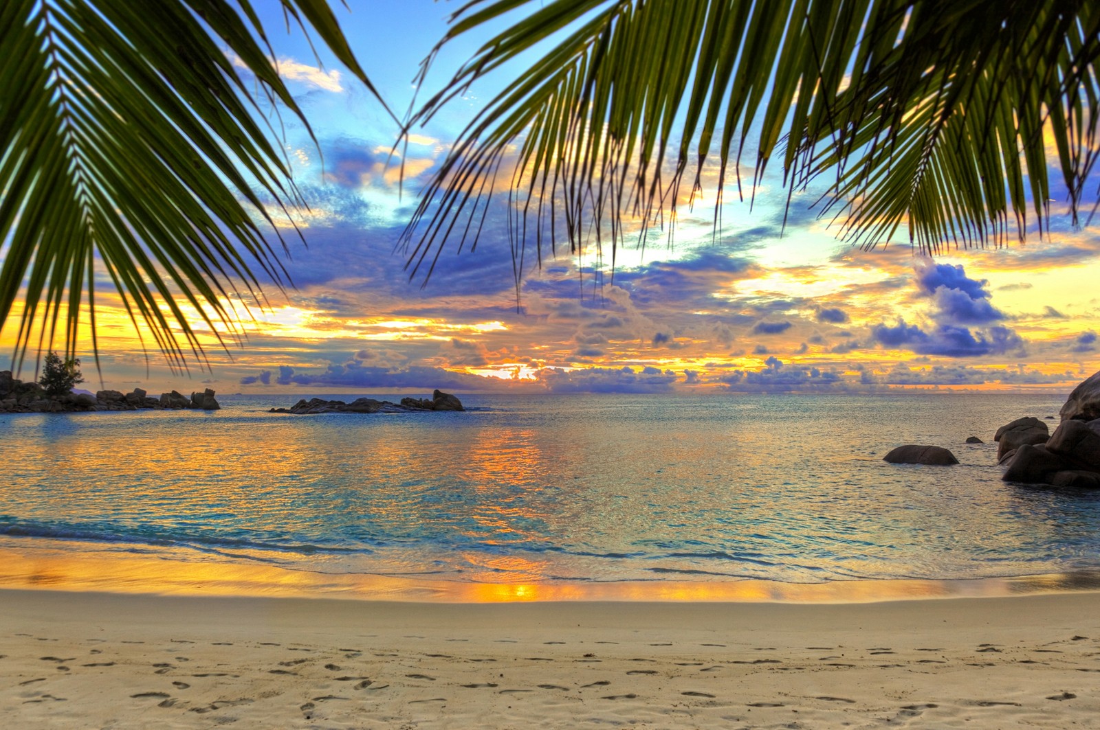 A view of a beach with a palm tree and a boat in the water (beach, tropics, sunset, horizon, ocean)