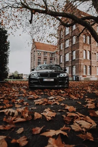 BMW M3 entouré de feuilles d'automne près d'un bâtiment historique