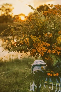 Arranjo floral de outono ao amanhecer à beira da água