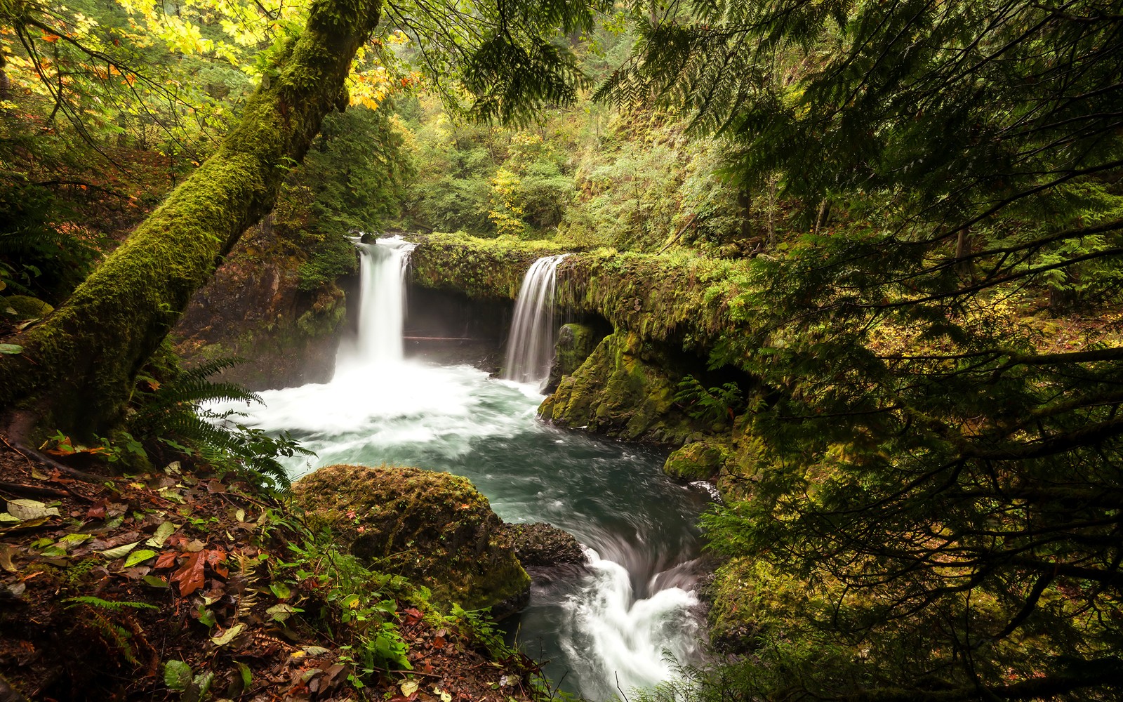 Vista de una cascada en un bosque con árboles cubiertos de musgo (cascada, cuerpo de agua, recursos hídricos, naturaleza, agua)