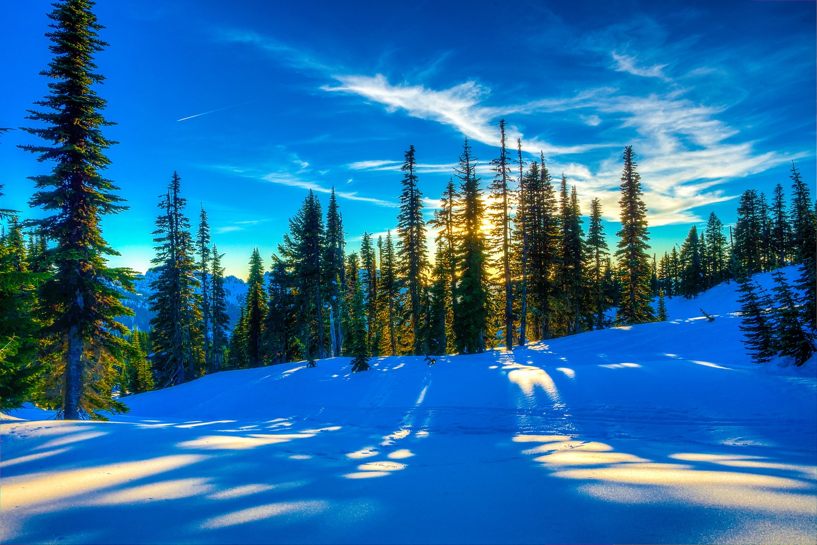 Vista de uma montanha nevada com árvores e um céu azul (abeto, neve, inverno, natureza, árvore)